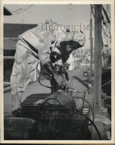 1955 stampa foto - 1955,